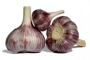 garlic-1433526-m Škrábání v krku