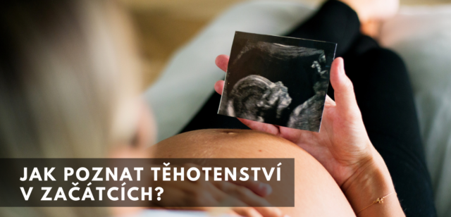 Jak poznat těhotenství v začátcích?